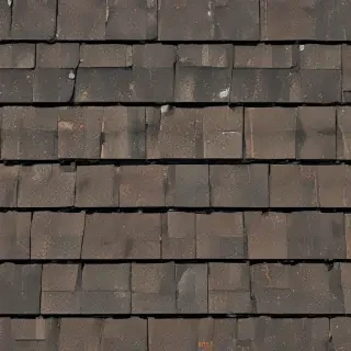 pictures of shingles
