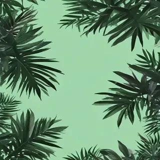 aesthetic background green