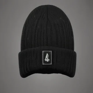 beanie png