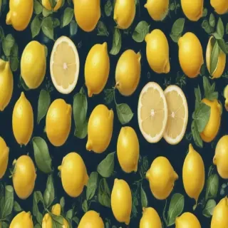 lemon clip art