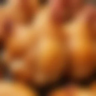 chicken background