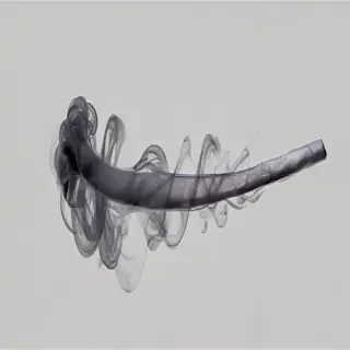 smoke transparent