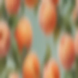 peach wallpaper aesthetic