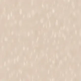 classy neutral iphone wallpaper