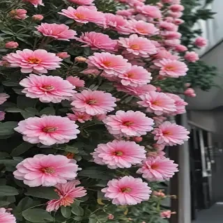 flowers aesthetic