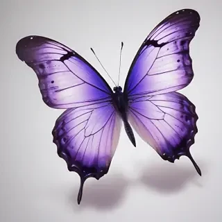 transparent purple butterfly