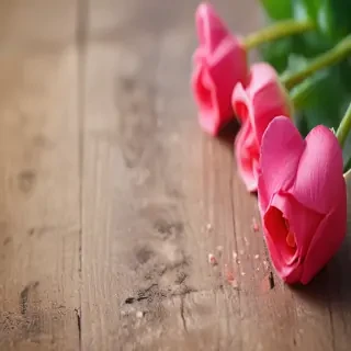 love background images