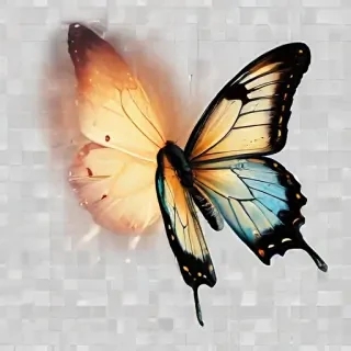 transparent background butterfly png