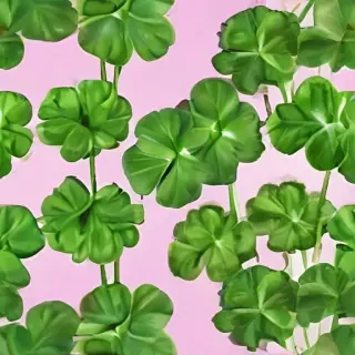 clover png