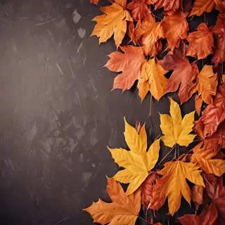 wallpaper autumn iphone