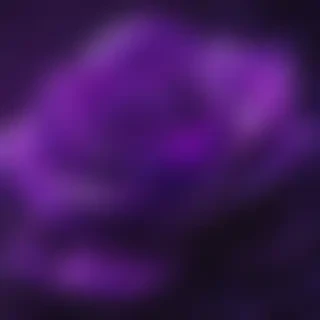 wallpapers for iphone purple