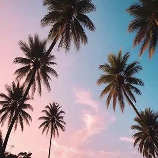 summer backgrounds aesthetic