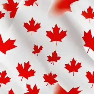 canada flag transparent
