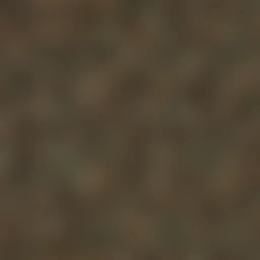camo png