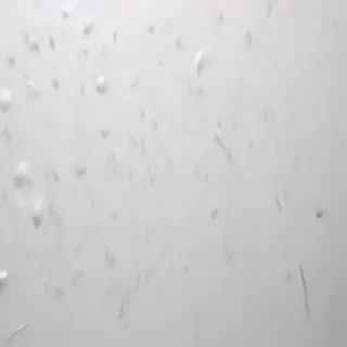 white gray background