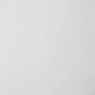 white background