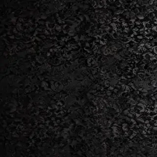 black lace png