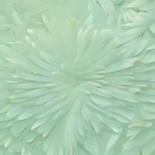 pastel green aesthetic wallpaper