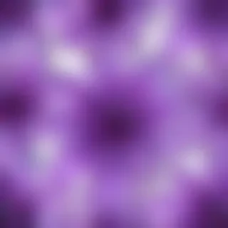 transparent purple flower
