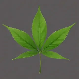 weed leaf png