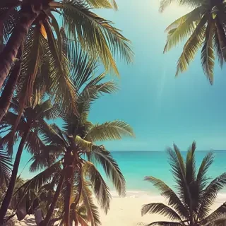 summer background iphone