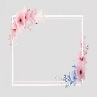 aesthetic transparent background