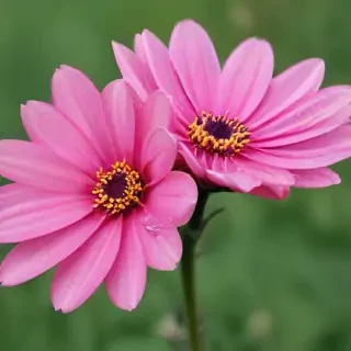 hello may images