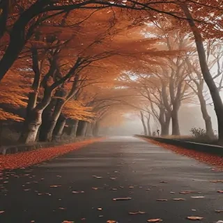 fall aesthetic wallpaper iphone