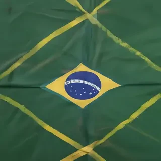 brazilian flag