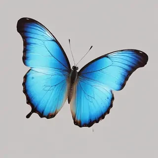 blue butterfly png
