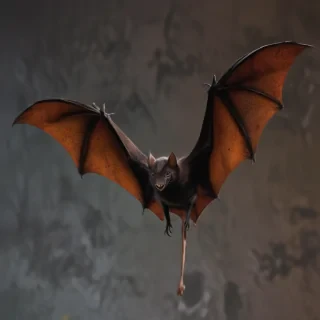 pics of halloween bats