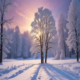 snow wallpaper iphone