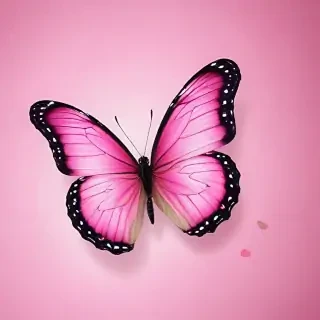 cute pink butterfly wallpaper