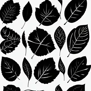 black and white clipart leaf