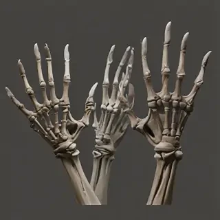 skeleton hands png