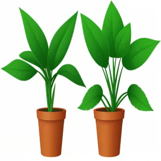 plant png clipart
