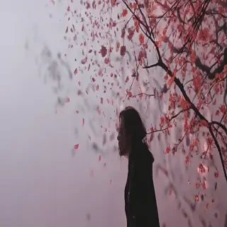 aesthetic falling