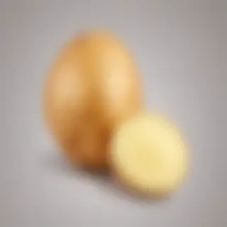 potato transparent background