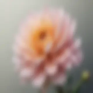 line work flowers