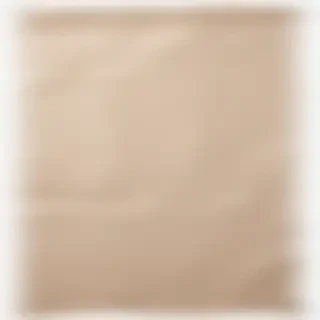 aesthetic ripped paper png