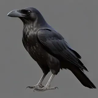 crow png