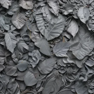 aesthetic grey
