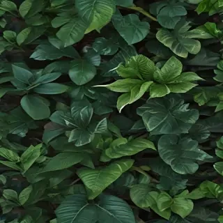 zoom background plants