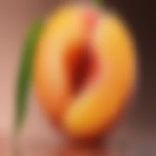 peach background aesthetic
