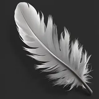 feather png