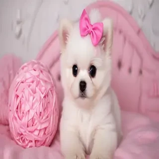 cute pink photos