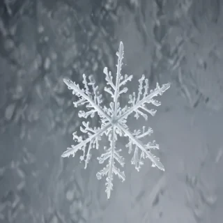 snow transparent