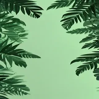 aesthetic background green