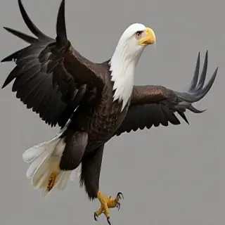 bald eagle png