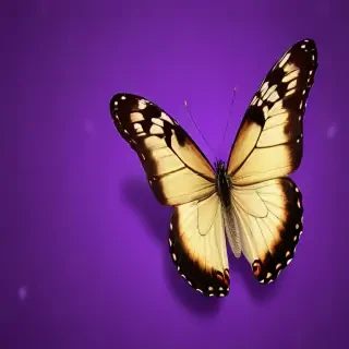 butterfly purple background